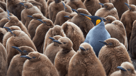 agiris-1021-blog-profils-atypiques